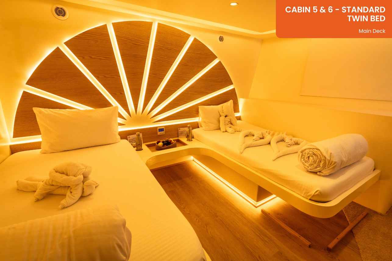Standard Cabins (#5 & #6)