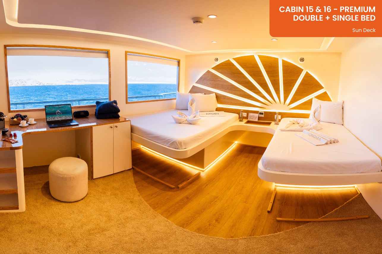 Premium Cabins (#15 & #16)