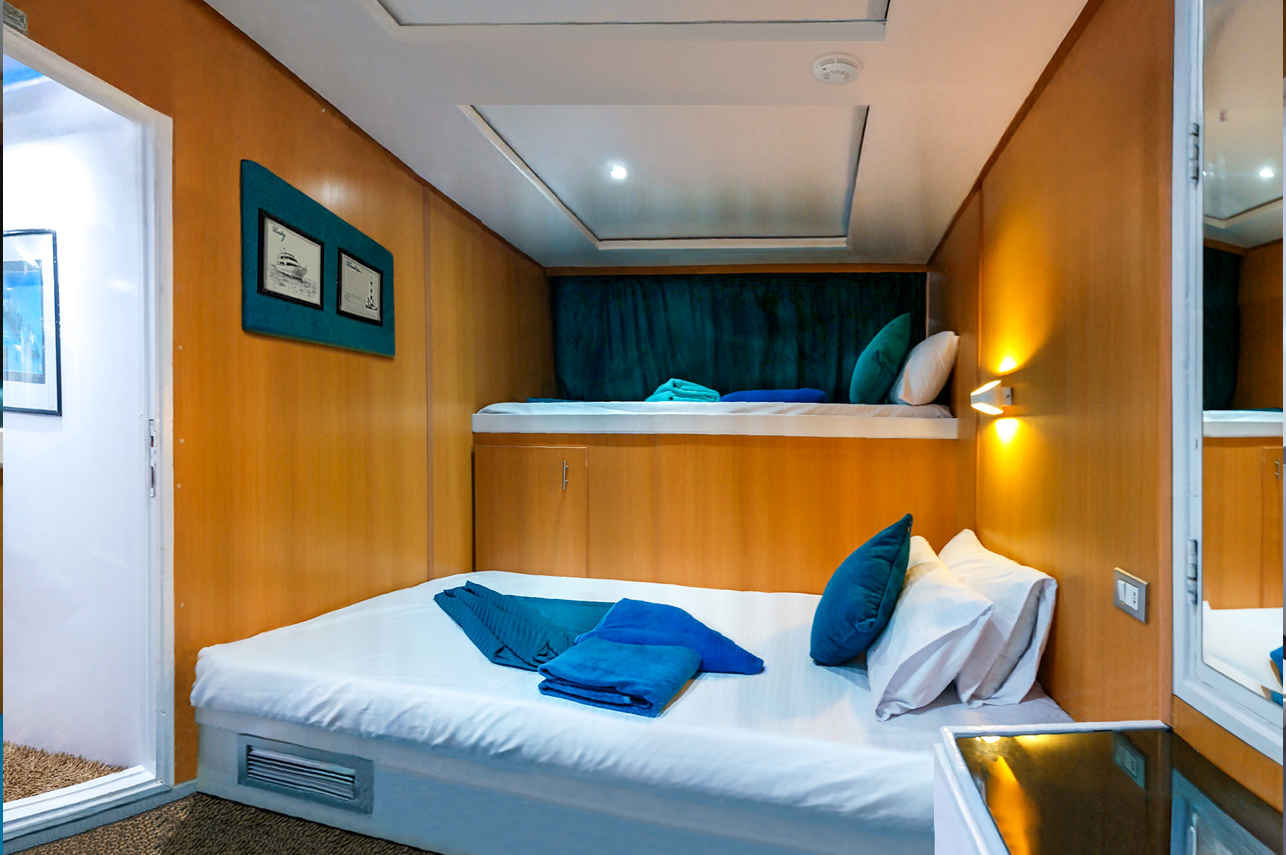 Standard Family Suite