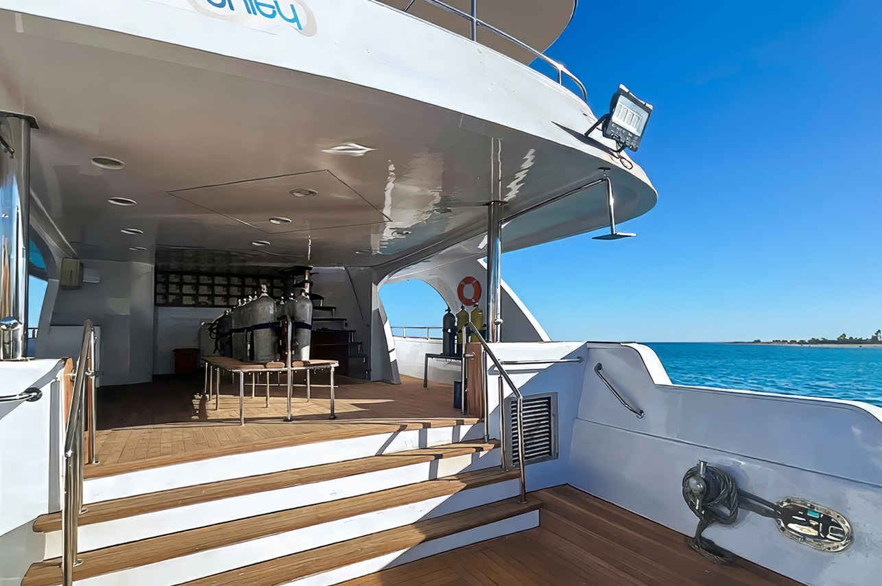 Dive deck - Unity