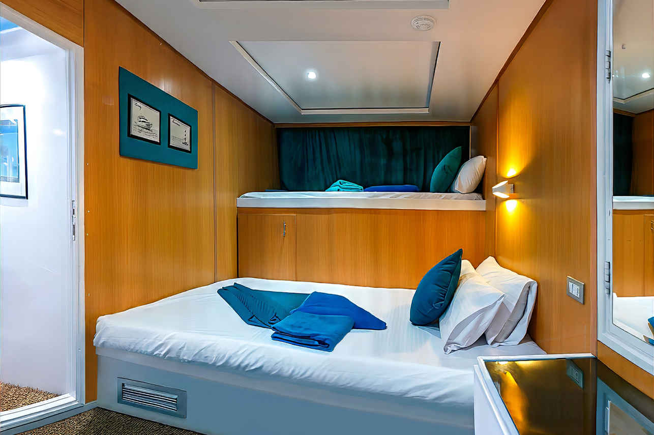 Standard Family Suite