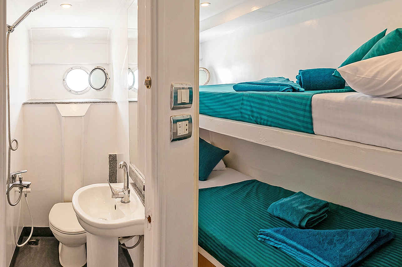 Super Saver Cabin