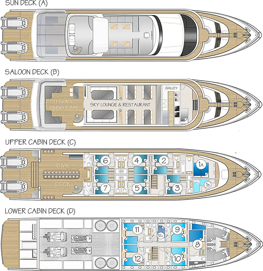 disposizione del ponte