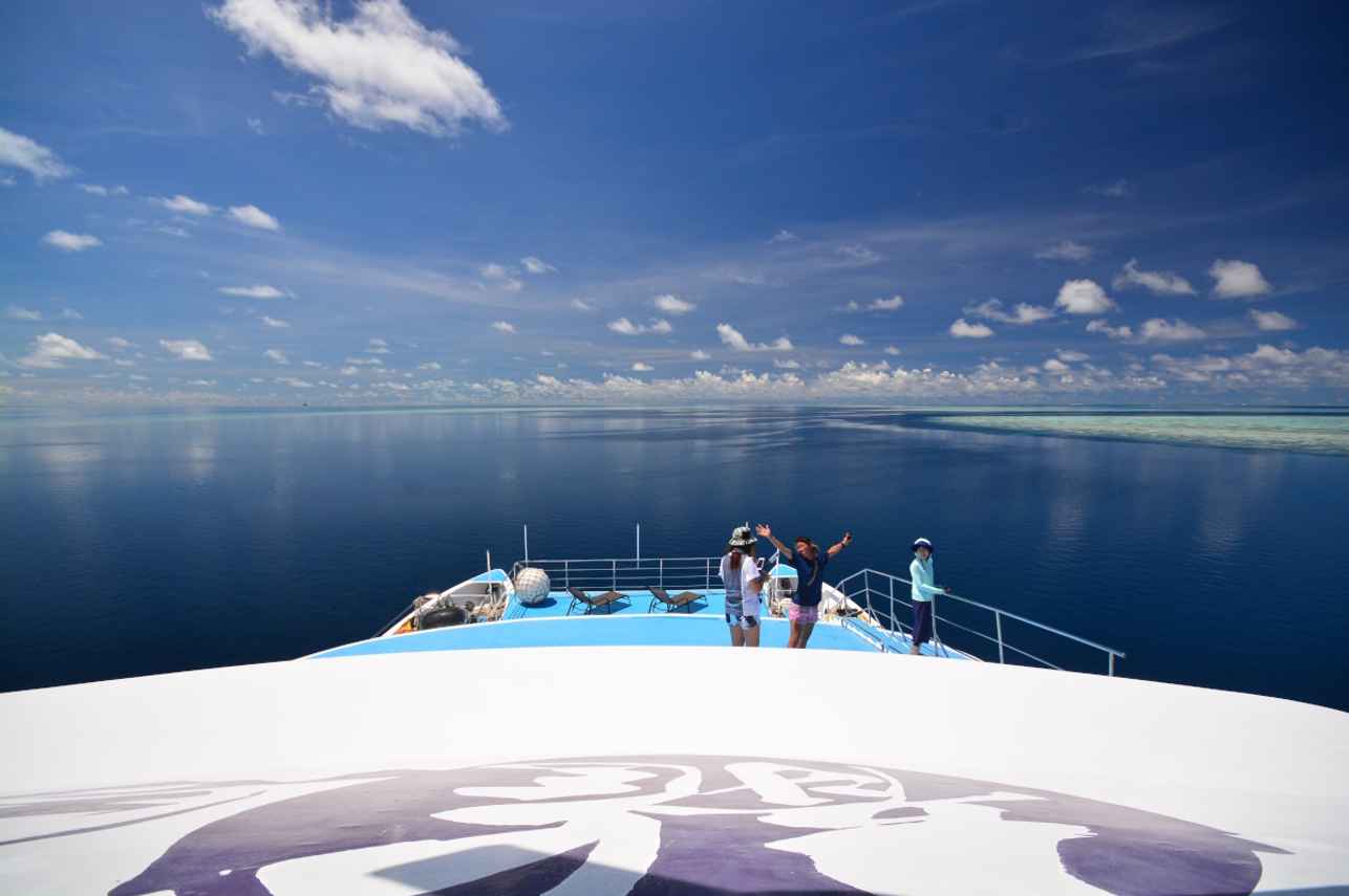 Bow View