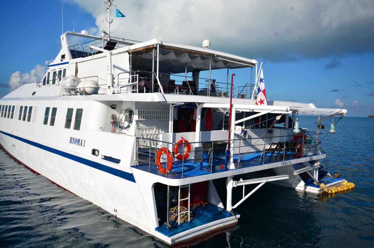 Rear Deck