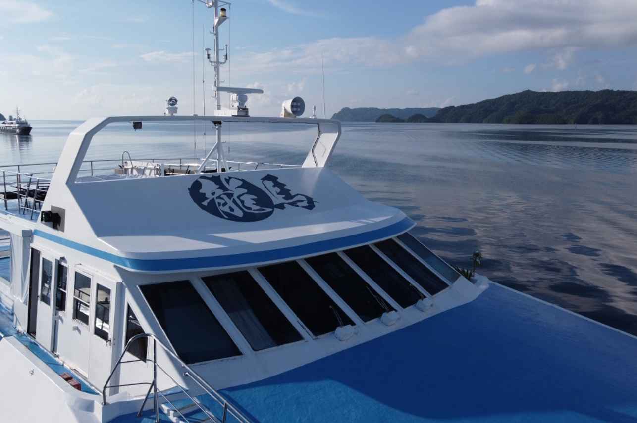 Top Deck