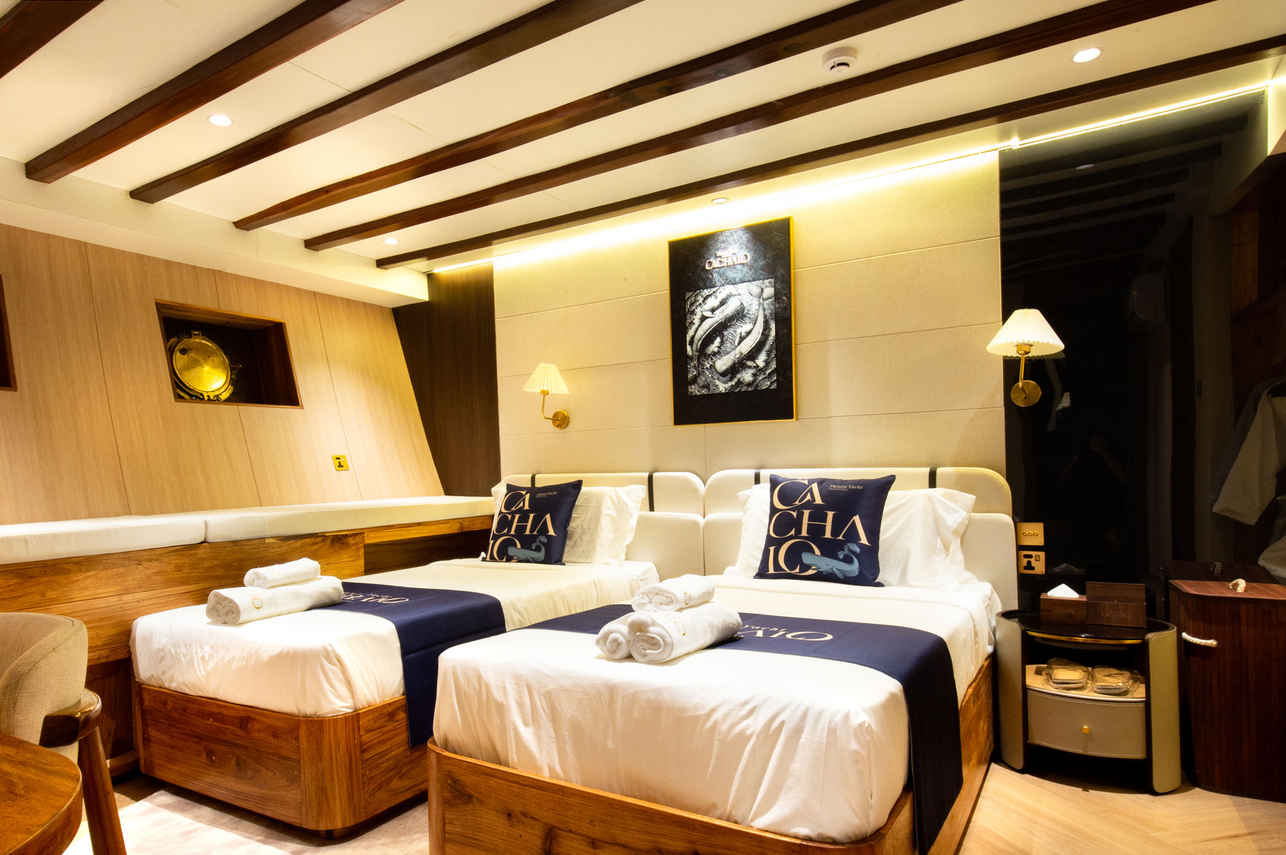 Standard Cabin - Lower Deck