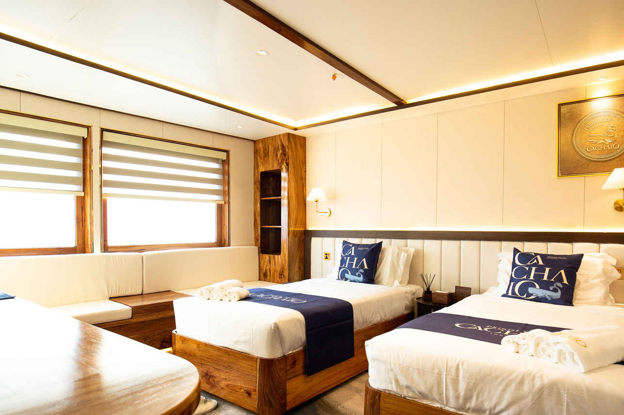 Standard Cabin - Upper Deck