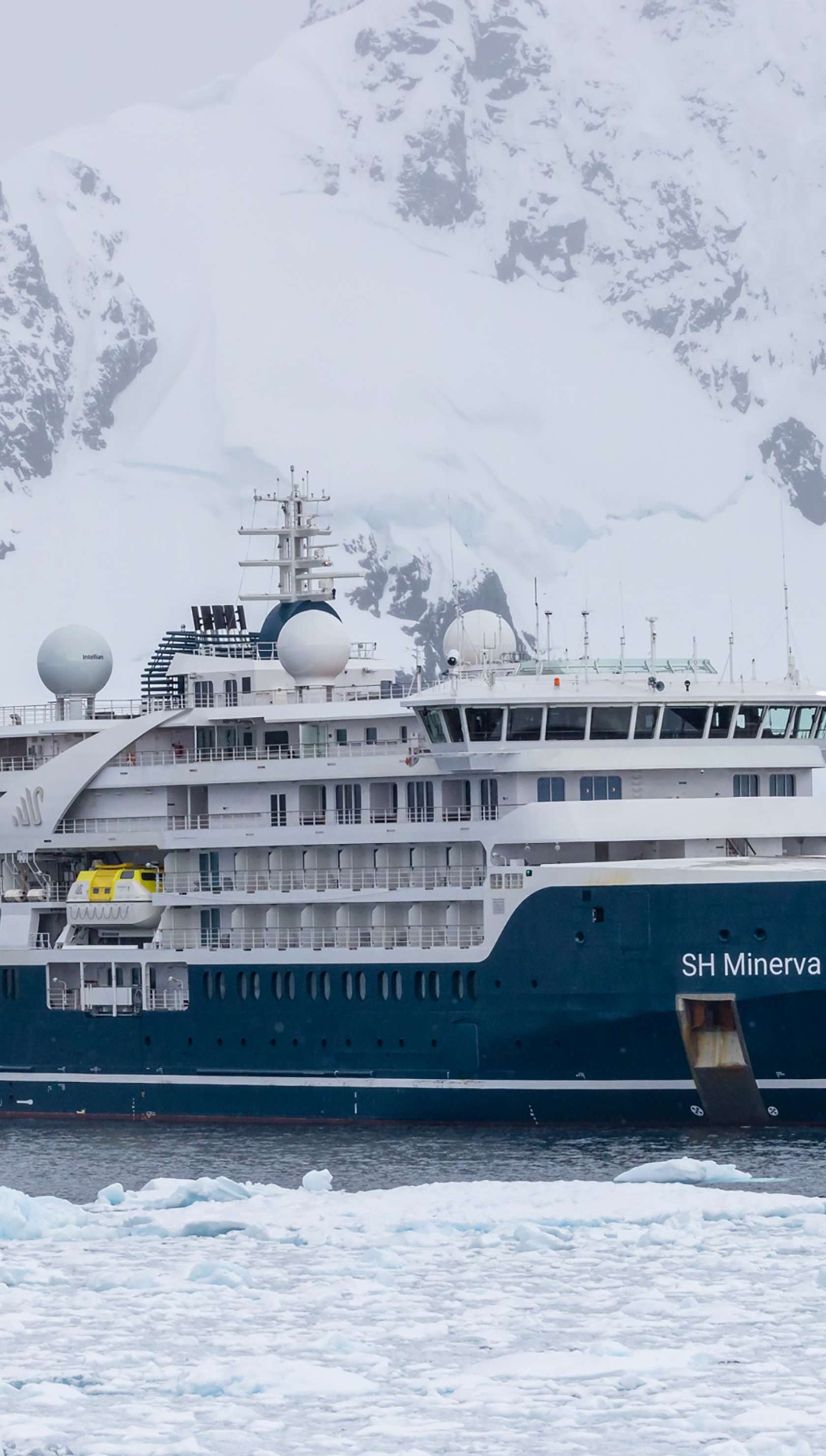 Minerva