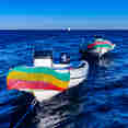 #tendersfordiving  - Red Sea Explorer