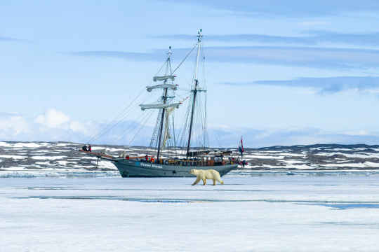 Ocean Sherpa