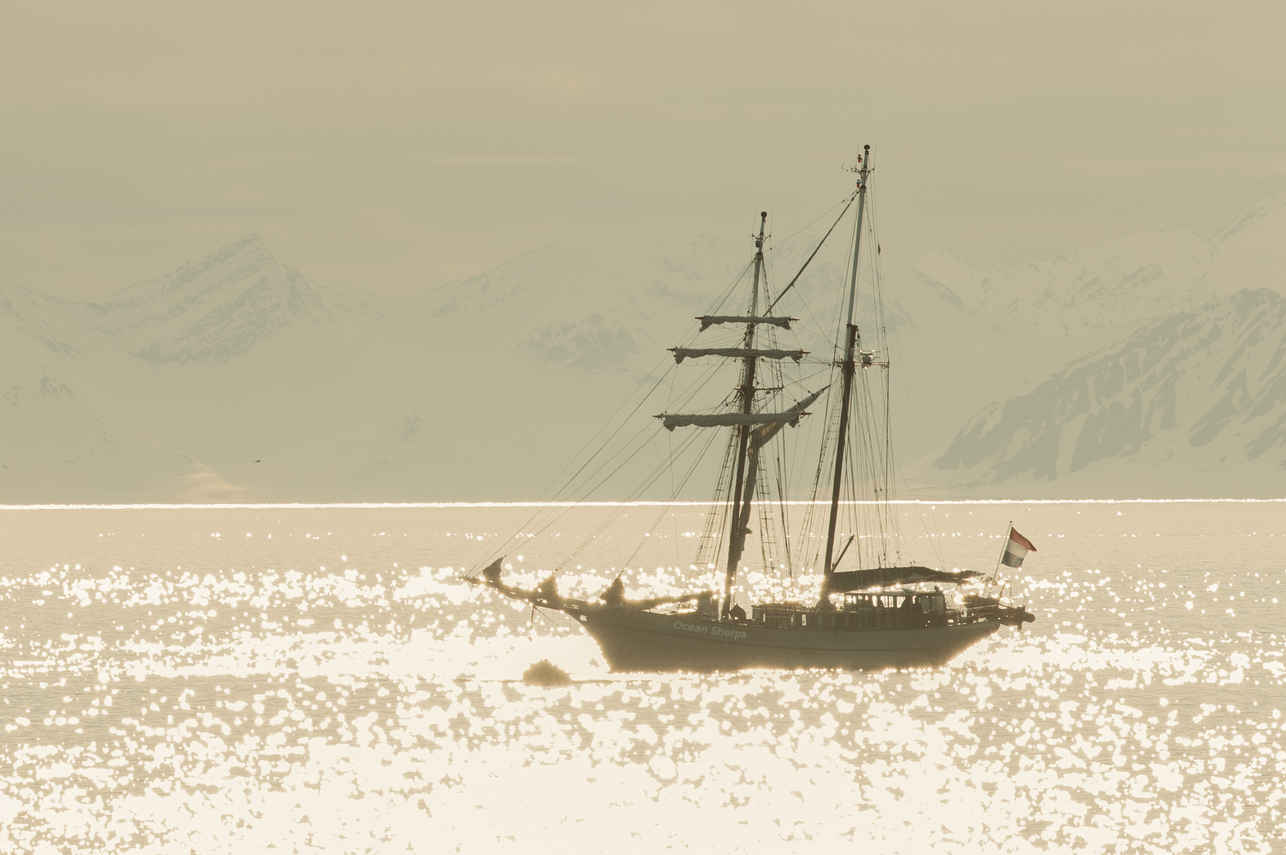 Ocean Sherpa