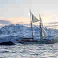 Ocean Sherpa