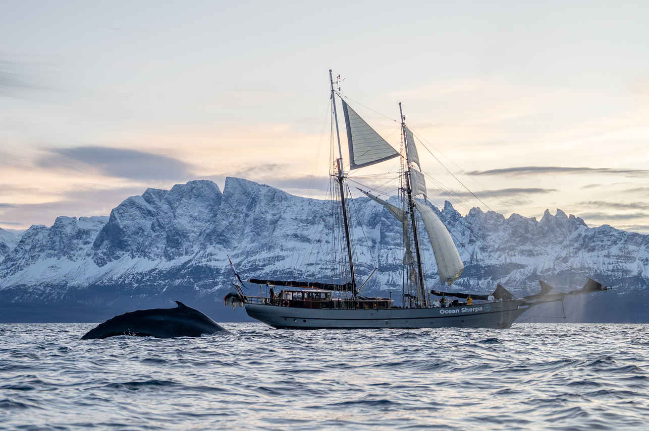 Ocean Sherpa