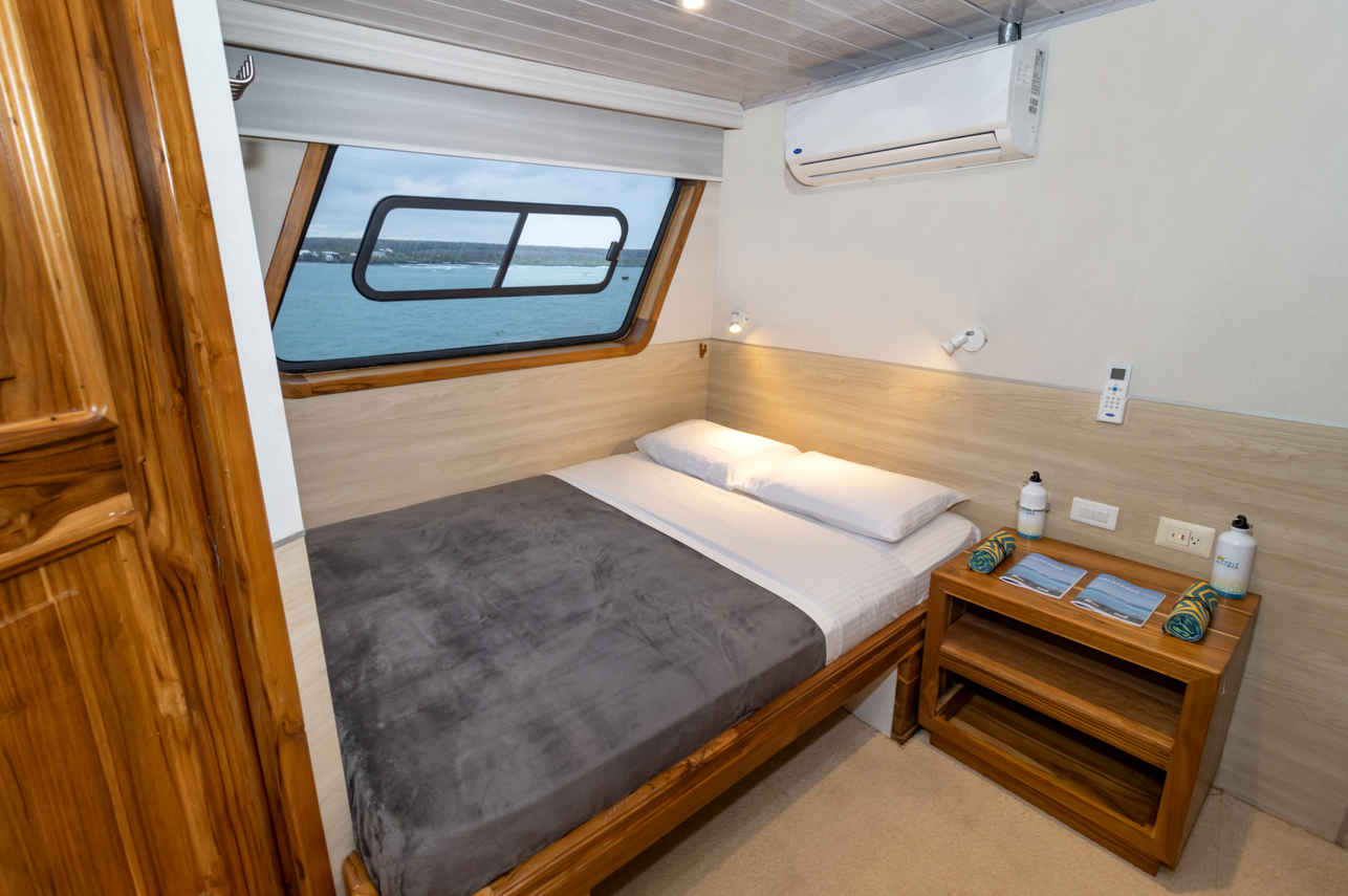 Upper Deck Double Cabin
