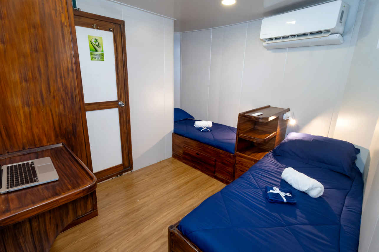 Cabin #5