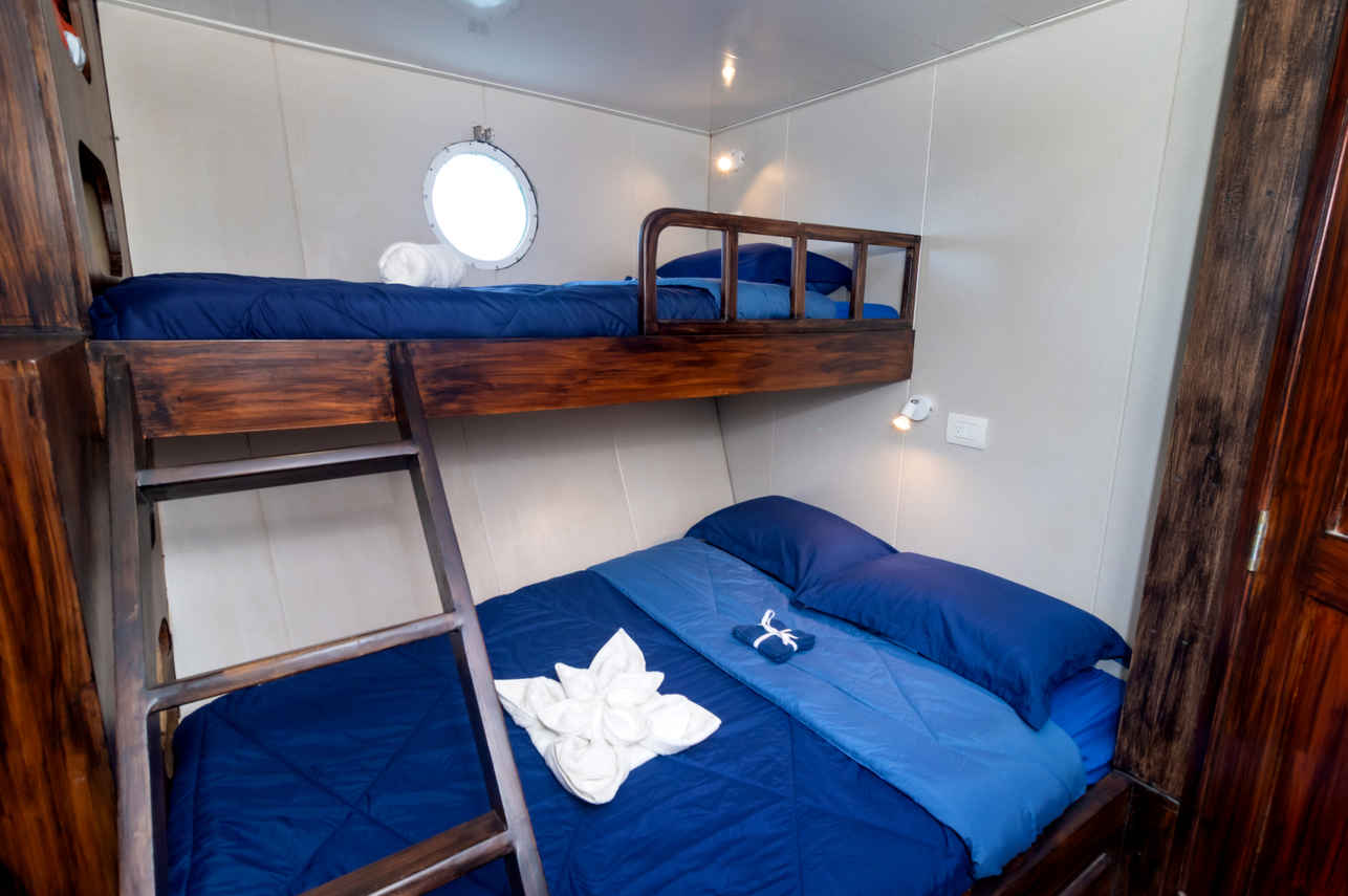 Cabin #8