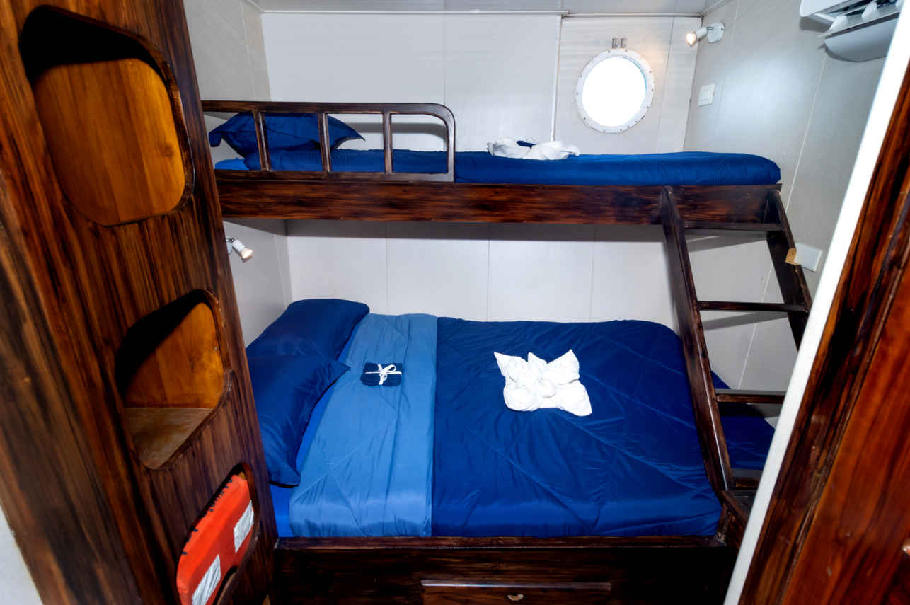Cabin #9