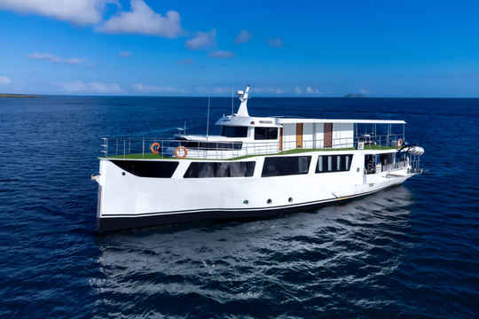 Danubio Azul - Cruise