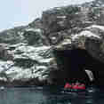 Discoverer