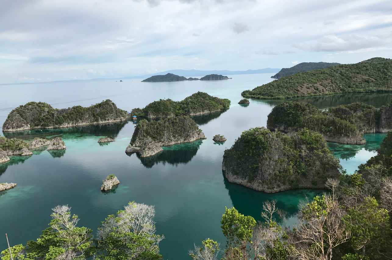 Park Lagoon