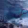 Snorkelling - Felicity
