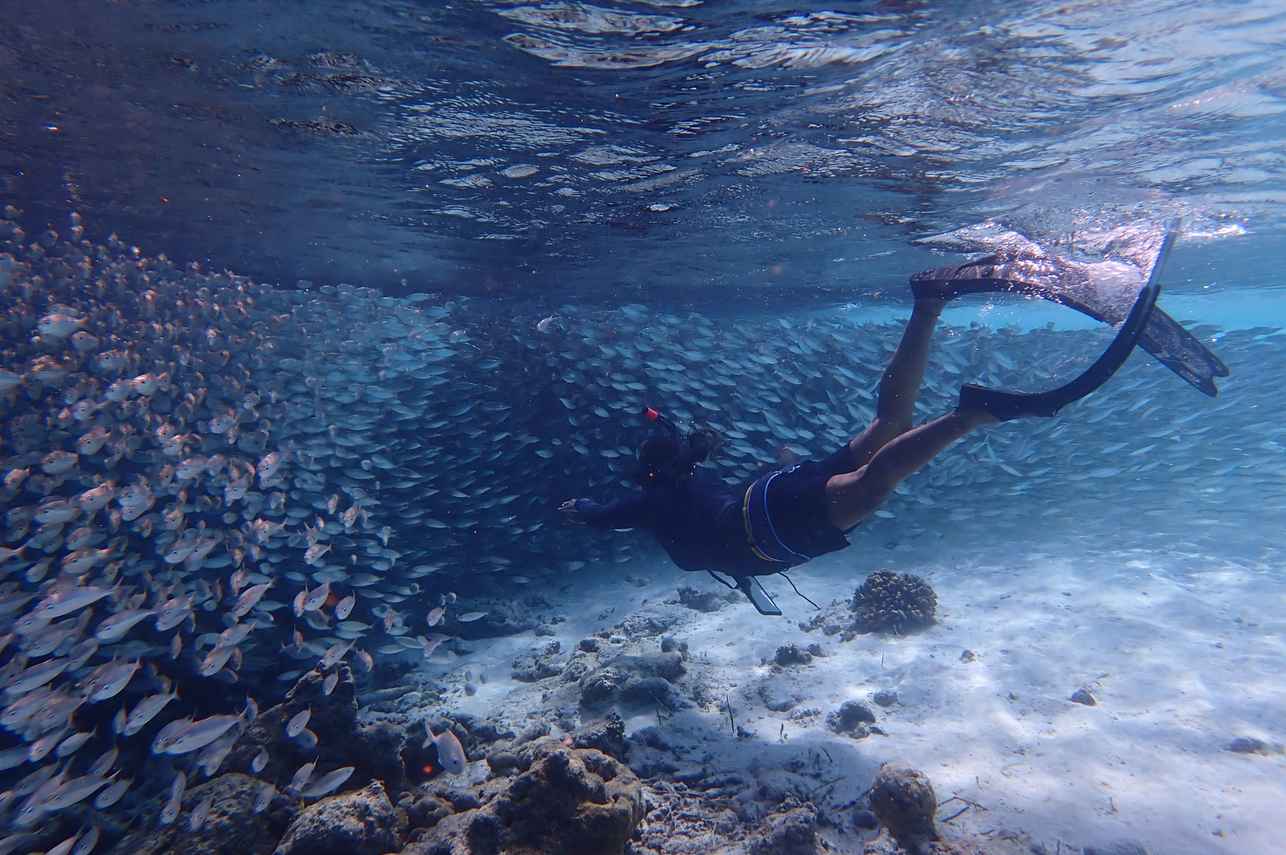 Snorkelling - Felicity