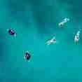 Snorkelling - Felicity