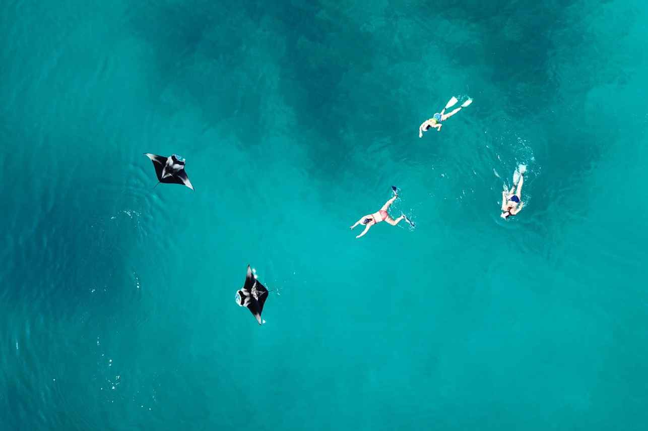 Snorkelling - Felicity