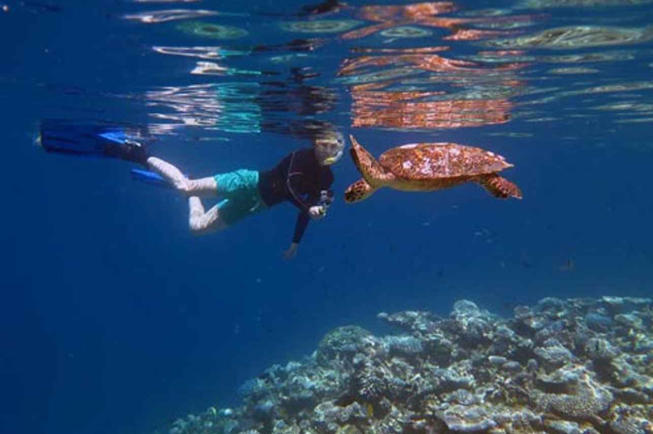 Snorkelling - Felicity