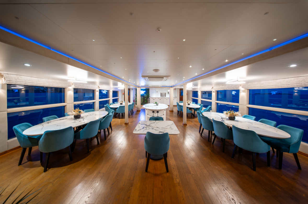 Dining Room - Adriatic Blue