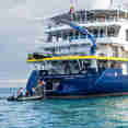 Marina Platform
