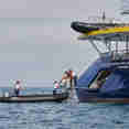 Marina Platform