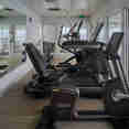 Gym Area