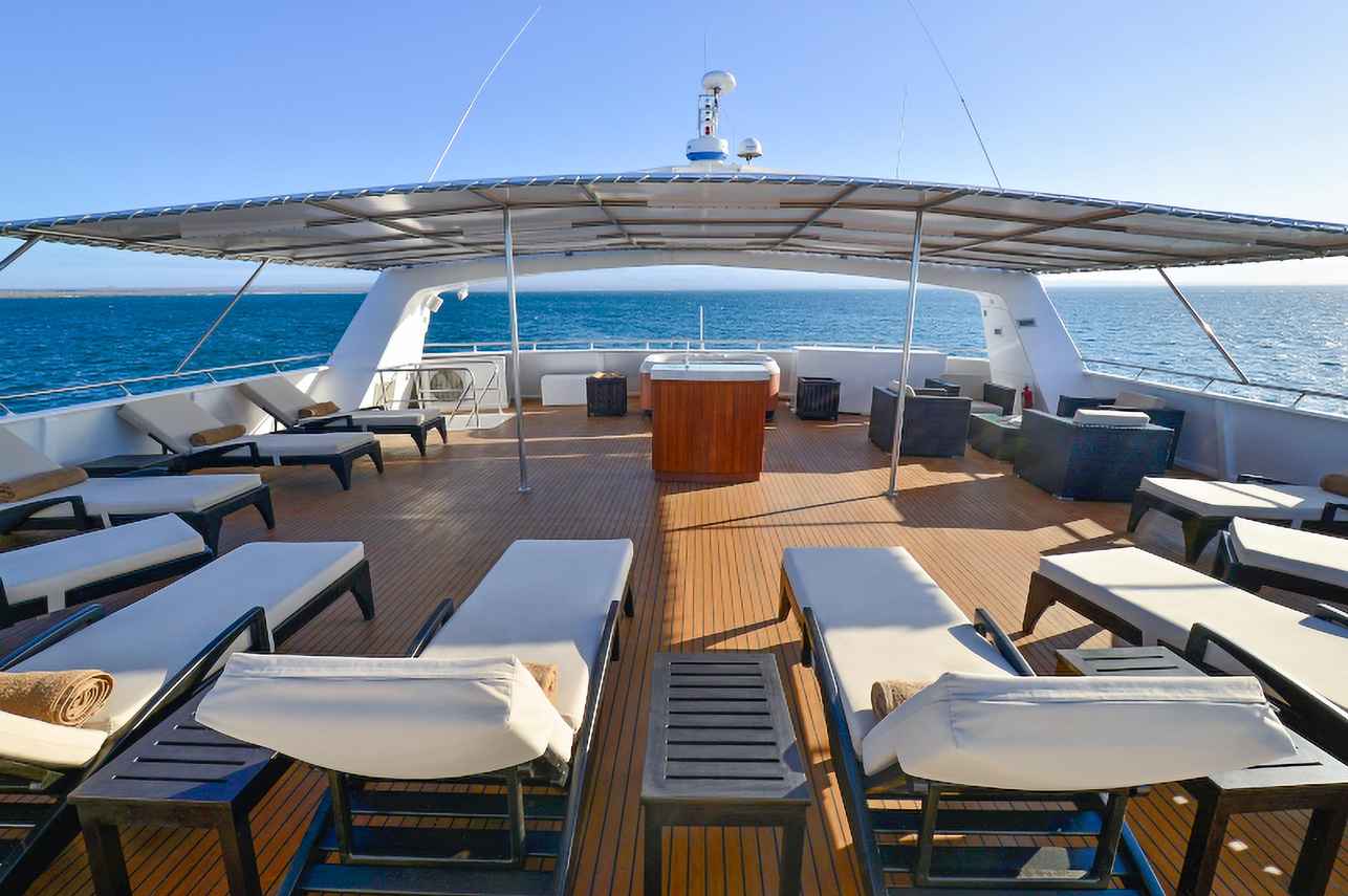 Observation deck - National Geographic Delfina