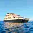 National Geographic Delfina