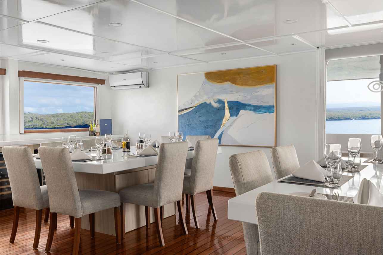 Dining Room - National Geographic Delfina