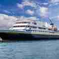 National Geographic Gemini
