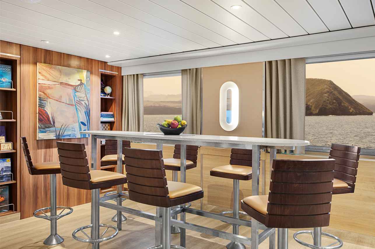 Bar and Lounge Area - National Geographic Gemini