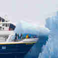 National Geographic Sea Bird