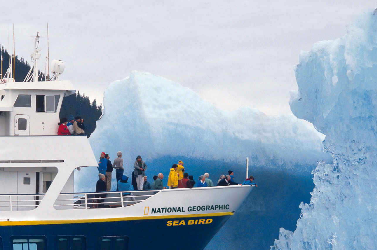 National Geographic Sea Bird
