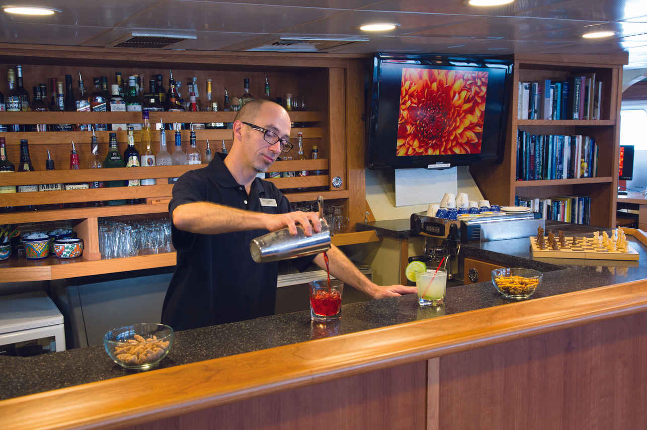 Bar Area - National Geographic Sea Lion