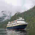 National Geographic Sea Lion