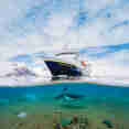 National Geographic Explorer