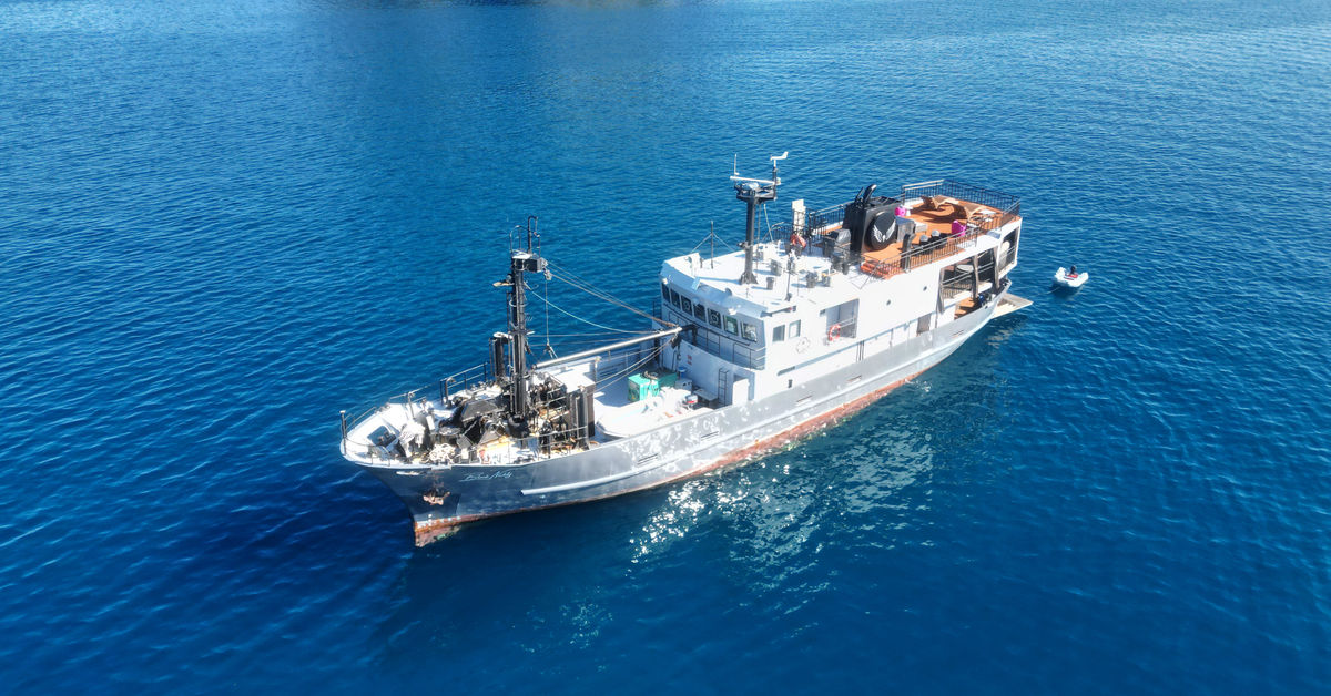 Black Noddy — vessel photograph
