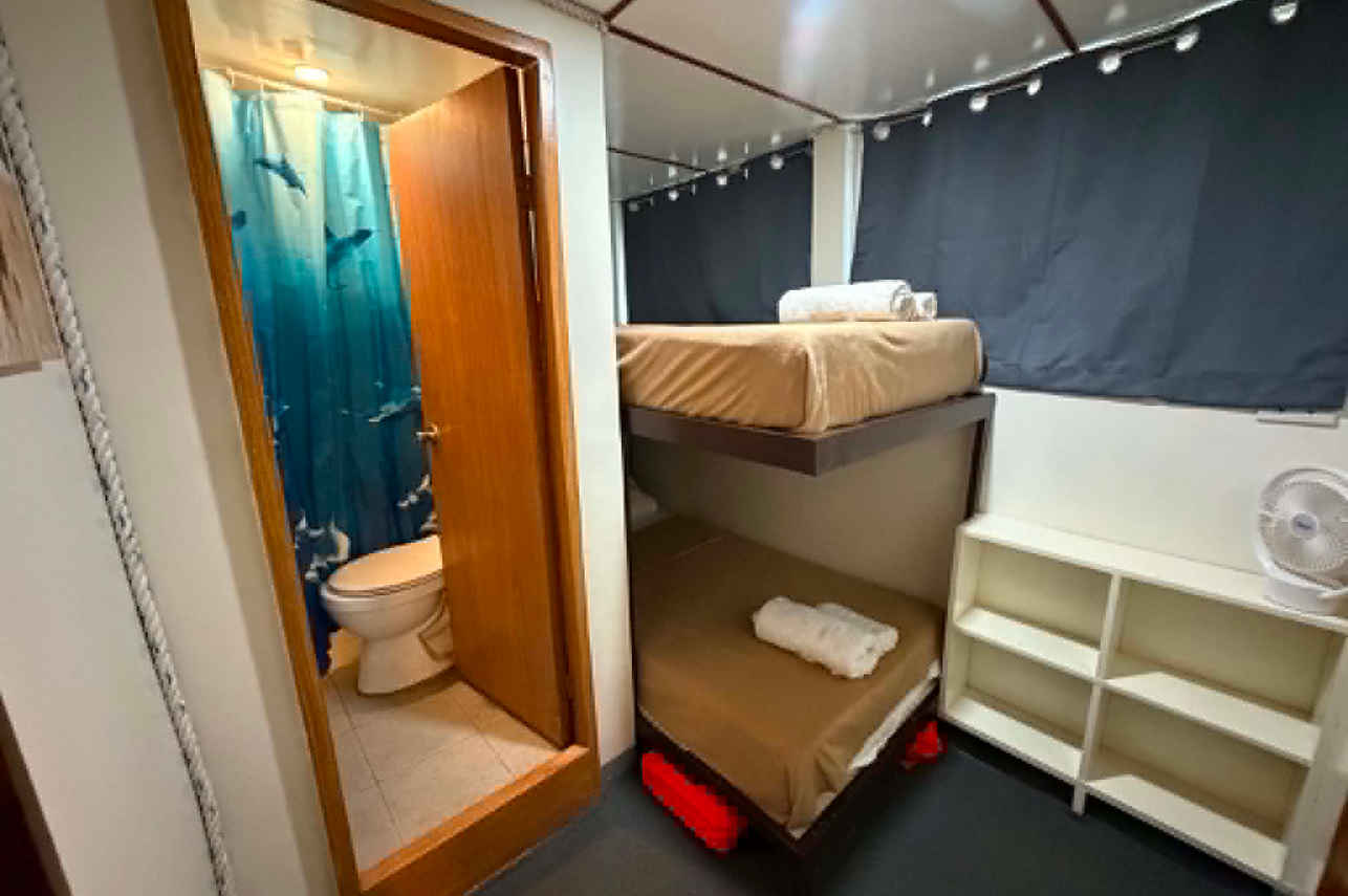 Bunk Cabin