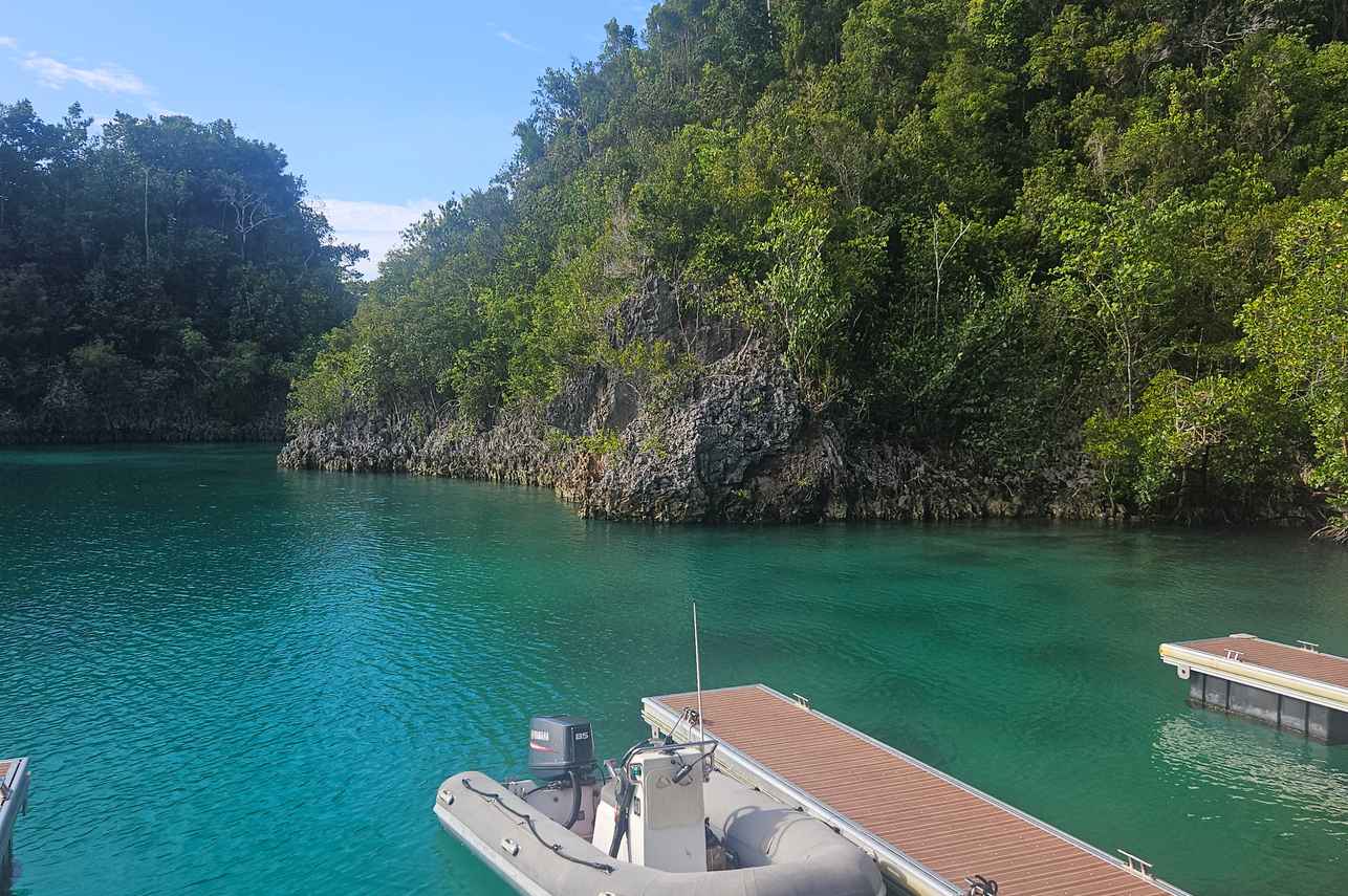 Надувные зодиаки - Philippines Explorer 2