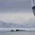 Whale beside Douglas Mawson Antarctica