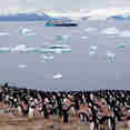 Sylvia Earle