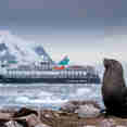Douglas Mawson